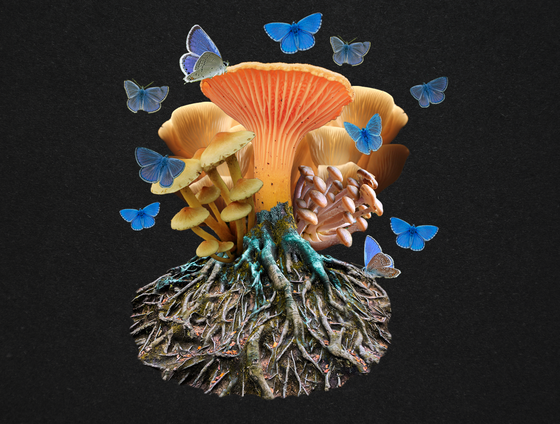 Entangled Worlds