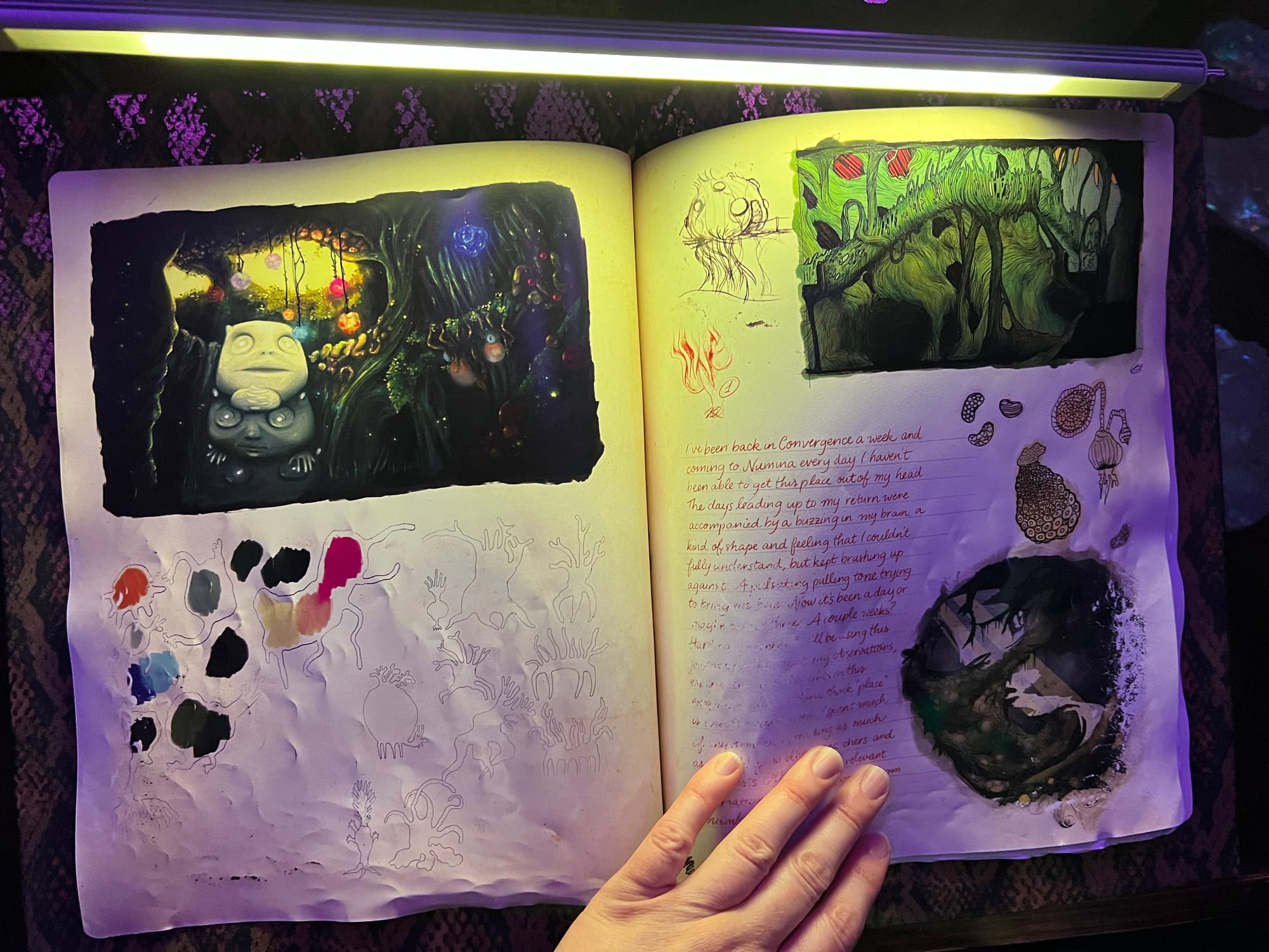 Welcome to Entangled Worlds