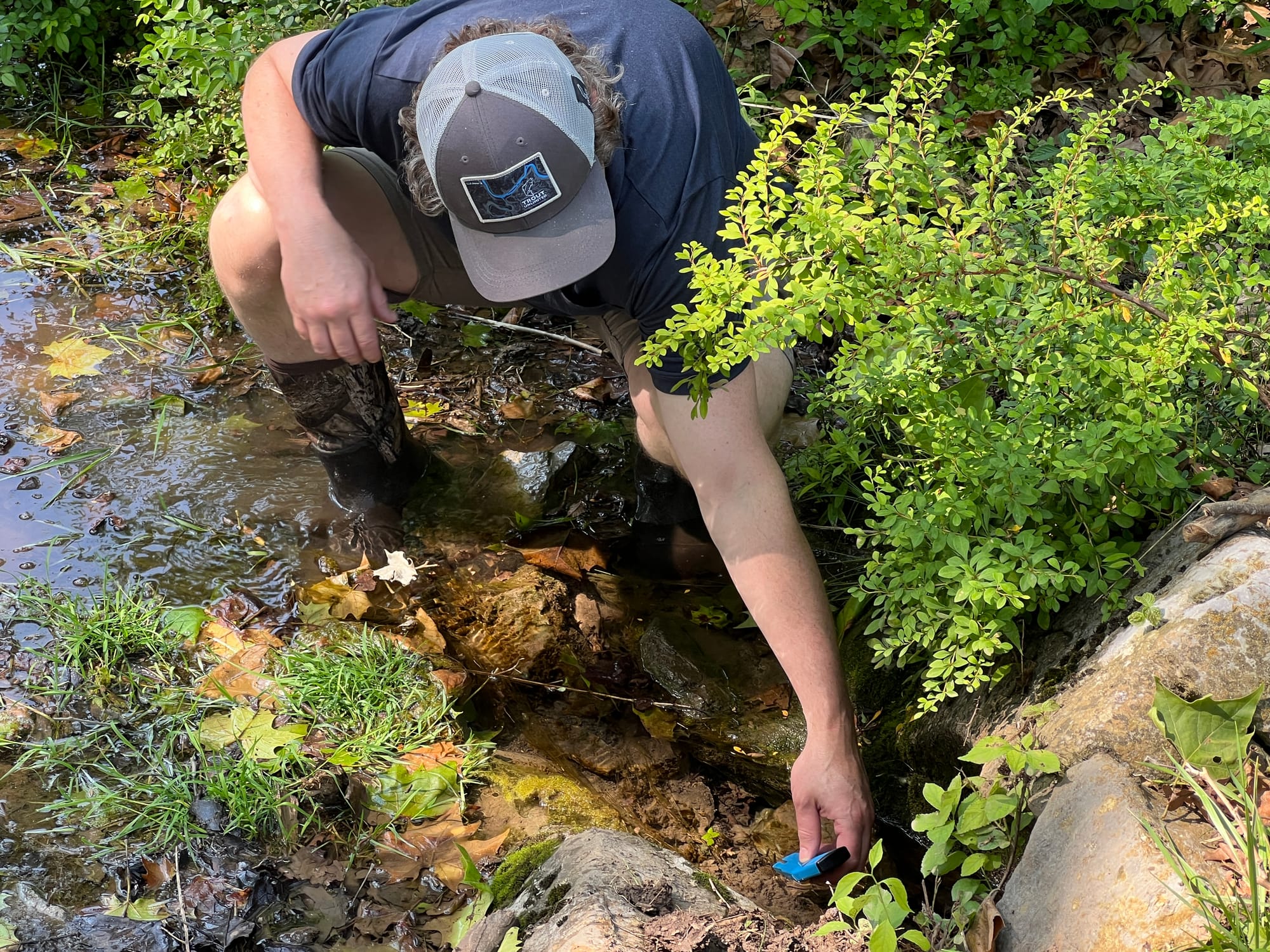 Field Notes #7: People Singing