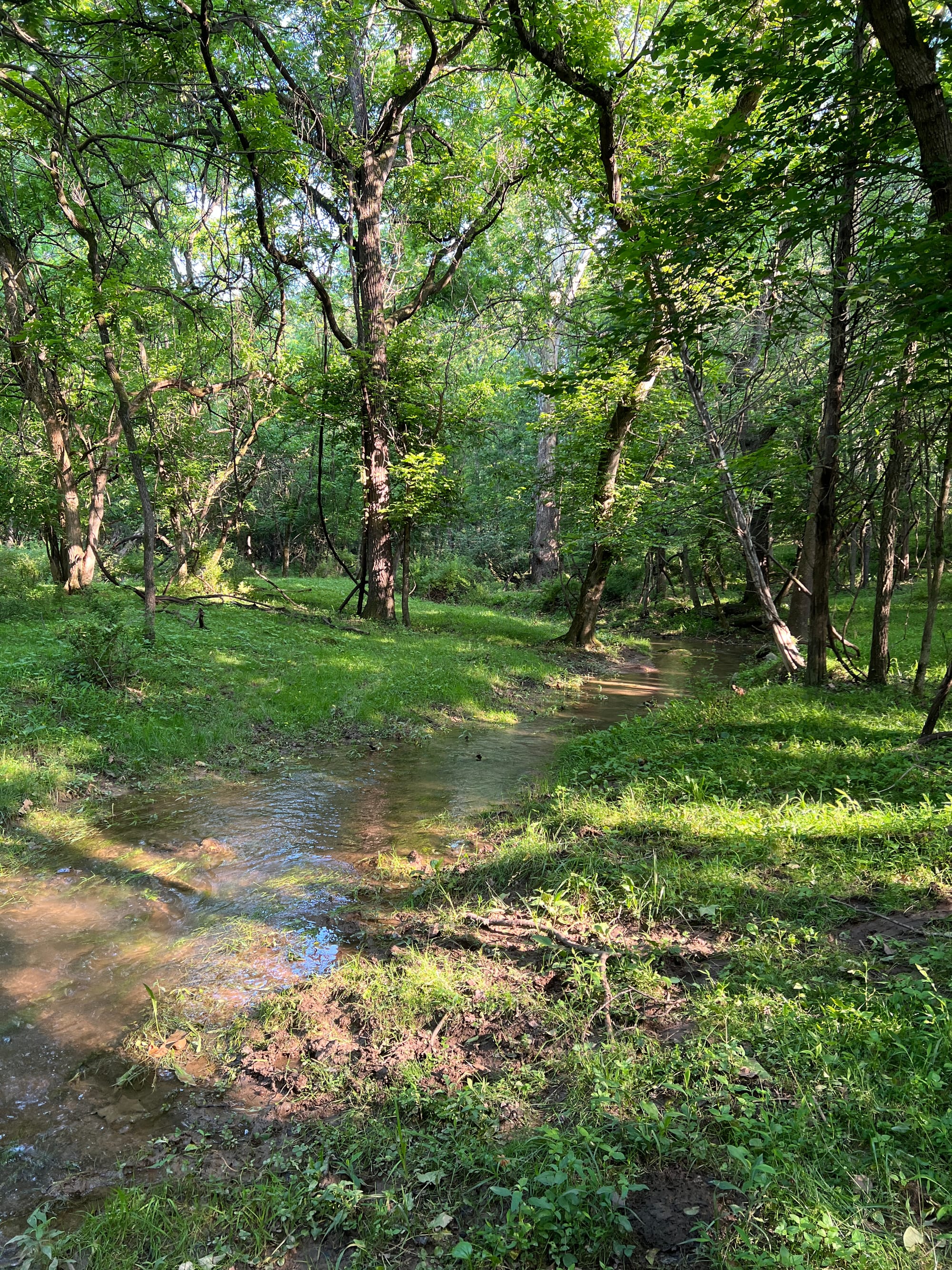 Field Notes #7: People Singing